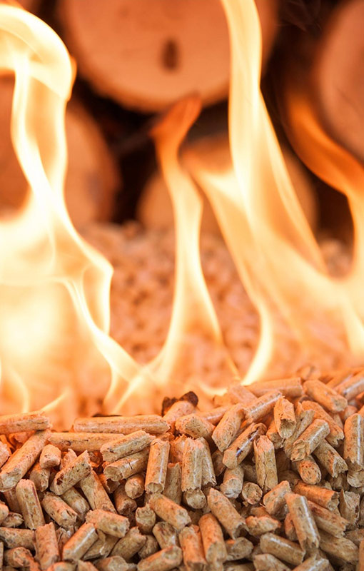 Pellets de bois